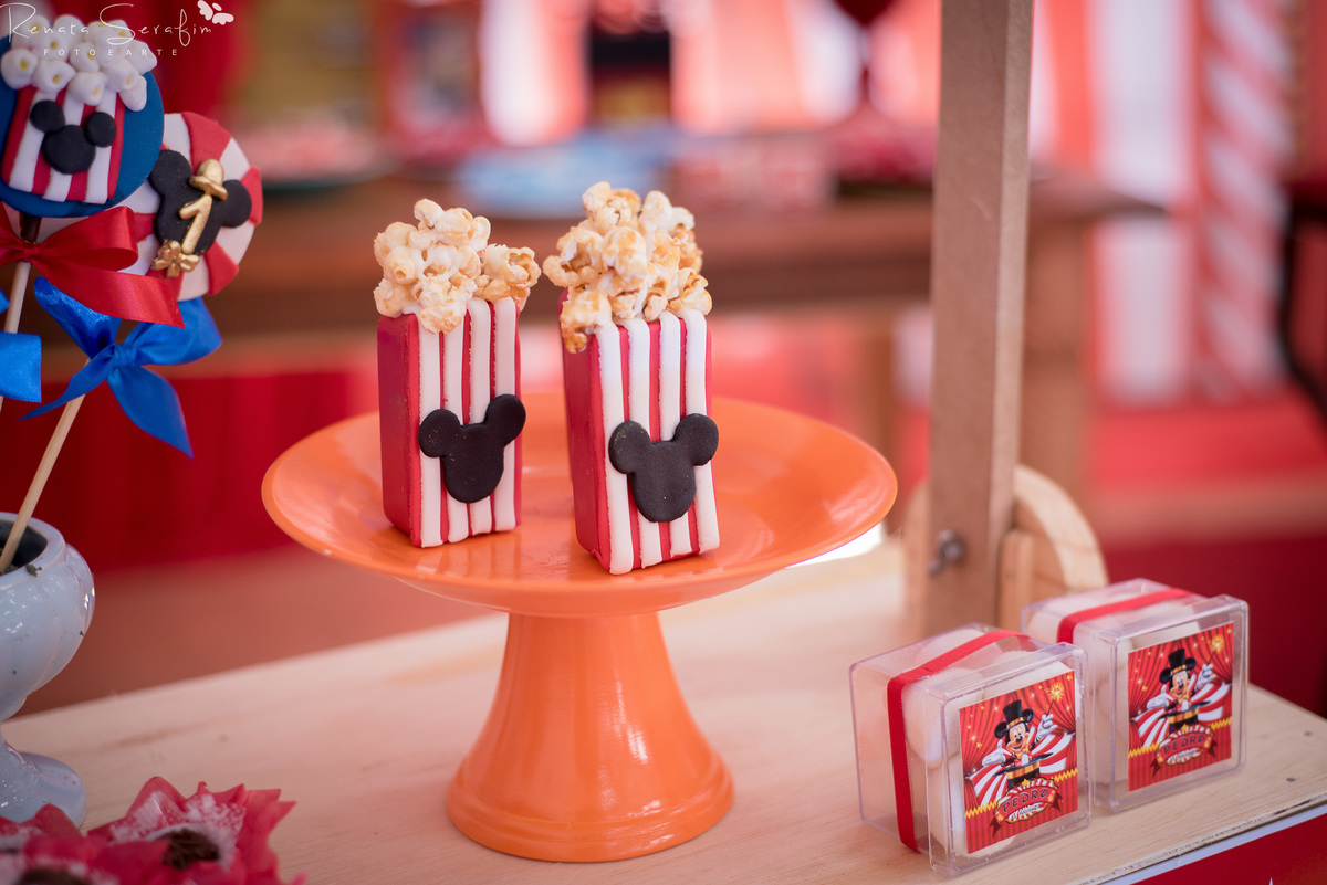 bauru, bebe em jau, circo de menino, festa circo do mickey, festa infantil em jau, fotografa de aniversario, fotografia em jau, fotografo infantil, newborn