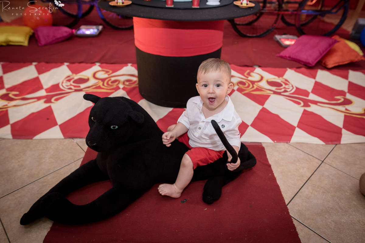 bauru, bebe em jau, circo de menino, festa circo do mickey, festa infantil em jau, fotografa de aniversario, fotografia em jau, fotografo infantil, newborn