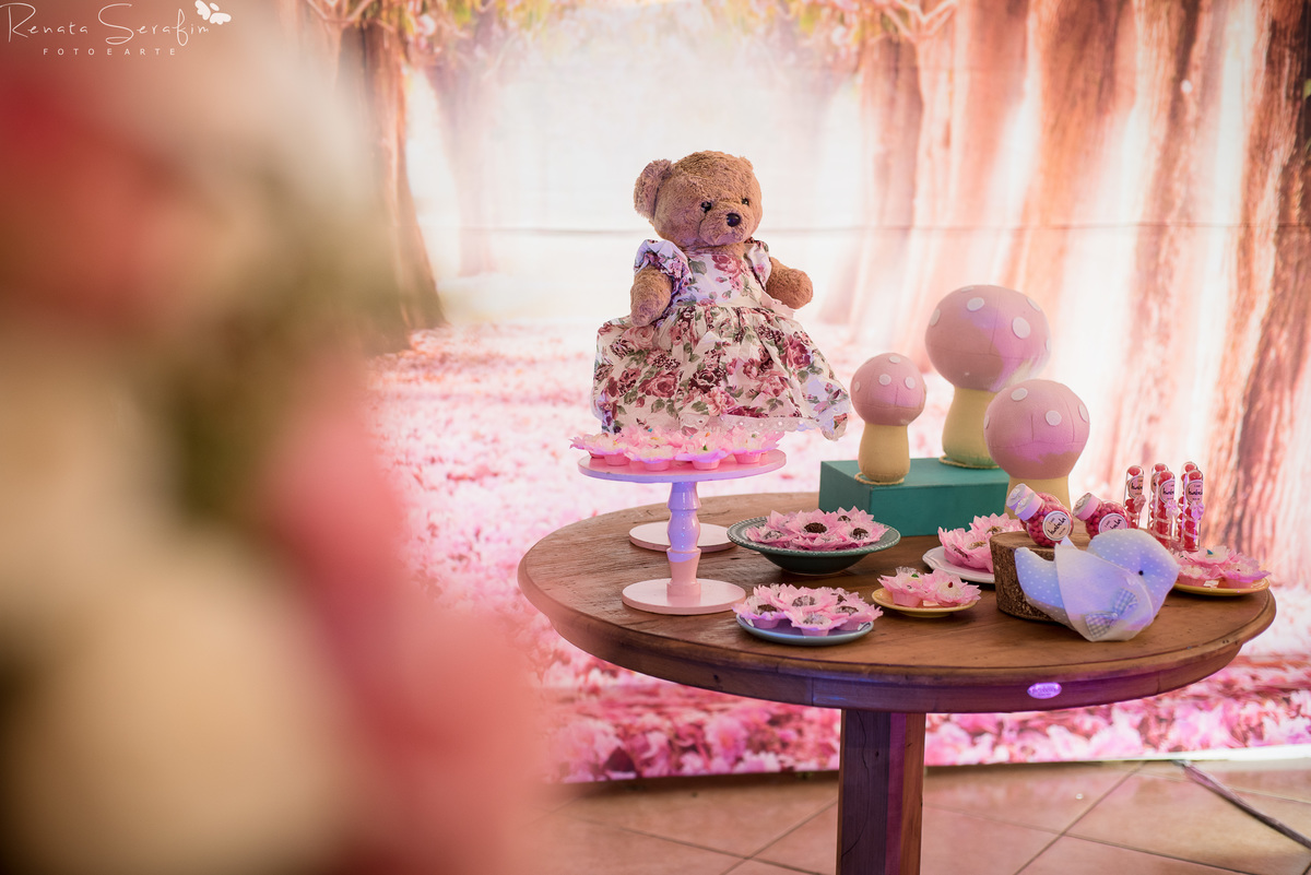 bauru, bebe em jau, festa de menina, festa de tres anos, festa jardim festa infantil em jau, fotografa de aniversario, fotografia em jau, fotografia infantil em bauru, fotografo infantil, newborn