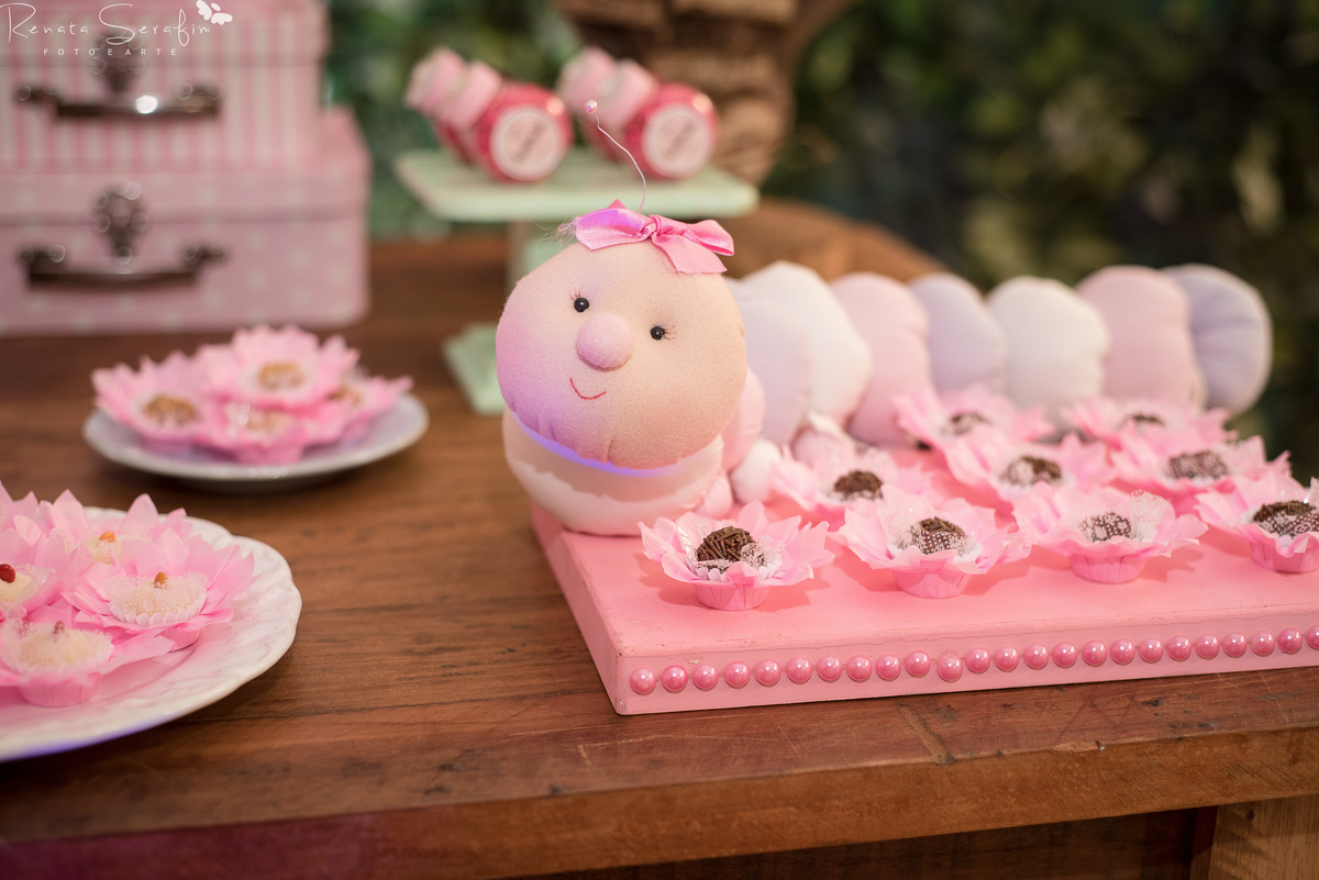 bauru, bebe em jau, festa de menina, festa de tres anos, festa jardim festa infantil em jau, fotografa de aniversario, fotografia em jau, fotografia infantil em bauru, fotografo infantil, newborn