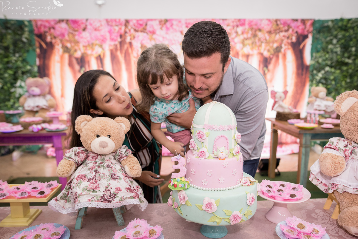 bauru, bebe em jau, festa de menina, festa de tres anos, festa jardim festa infantil em jau, fotografa de aniversario, fotografia em jau, fotografia infantil em bauru, fotografo infantil, newborn