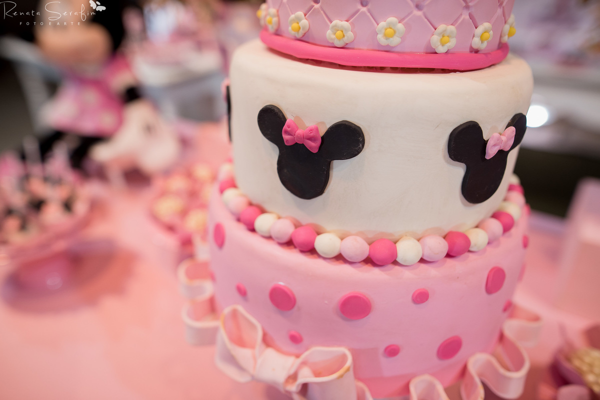 fotógrafo jau, fotografia de festa infantil, festa infantil bauru, fotografia de bebe , ensaio fotografico de bebe, book infantil jau,  acompanhamento de bebe dois corregos, festa minnie rosa, decoração minnie rosa, salao de festas jau, salão de festa zoe