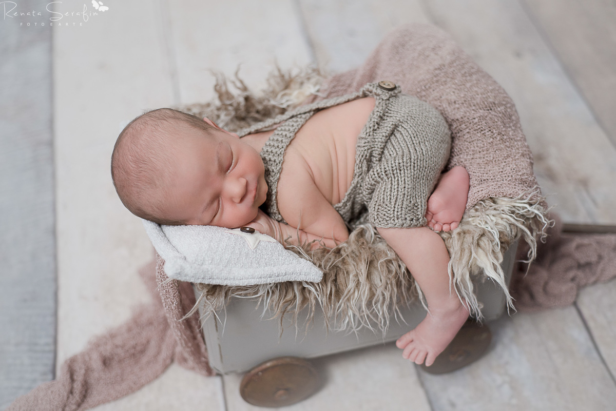 ensaio newborn, newborn jau, bauru, ensaio fotografico de bebe, recem nascido, fotografia de recem nascido, newborn bauru, fotografo de bebe em jau, fotografia infantil, melhor fotografo de newborn jau, 