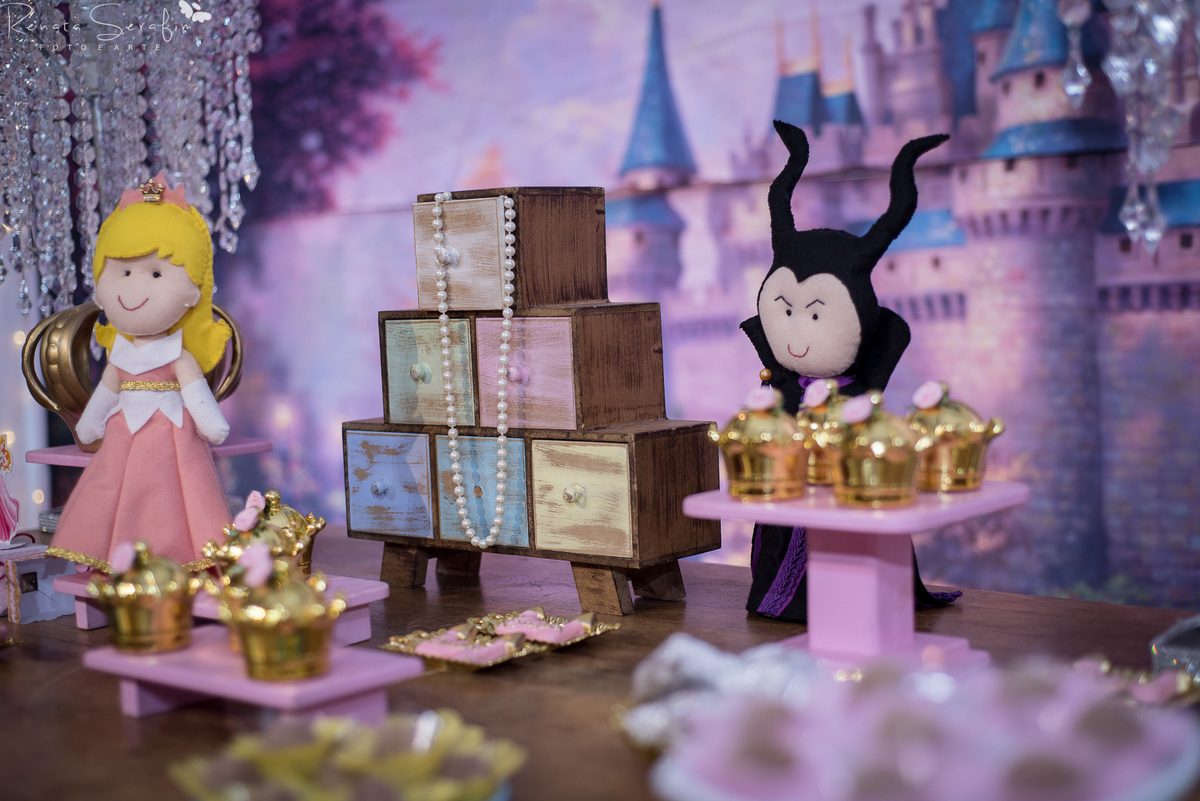 festa infantil bauru, salao de festas jau, princesas festa, zoe salao de festas, fotografo infantil, festa infantil princesa, fotografia bauru, bariri, Renata Serafim