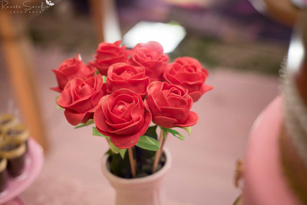 festa em jau, fotografo infantil, festas em jau, salao de festas bauru, fotografia infantil, fotografo jau, renata serafim, festas princesas, disney, aniversario infantil, 