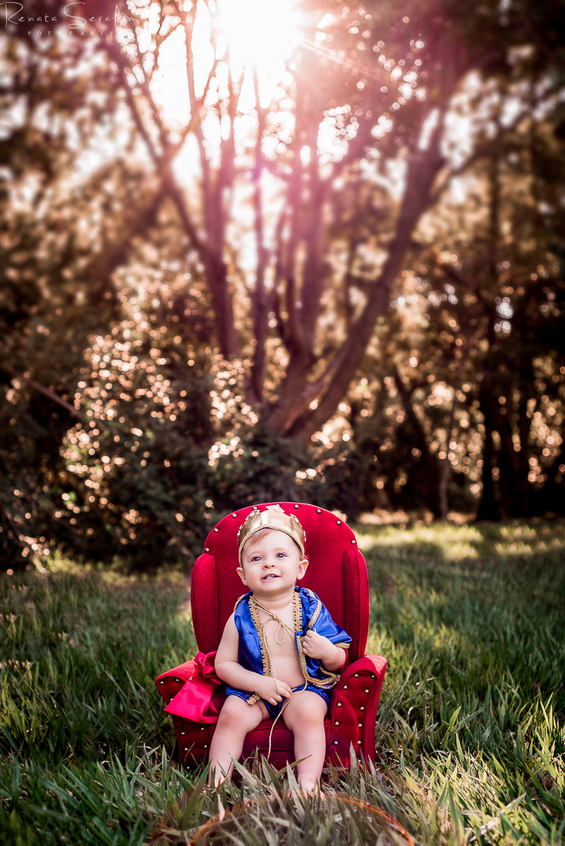 book infantil, cake smash rei,  cenario para fotos, festa principe, festa de menio, festa realeza, fotografo em jau, inpirações, mae de menino, meleca no bolo, rei arthur, realeza, renata serafim, salao de festas em jau, sessão infantil, smash cake