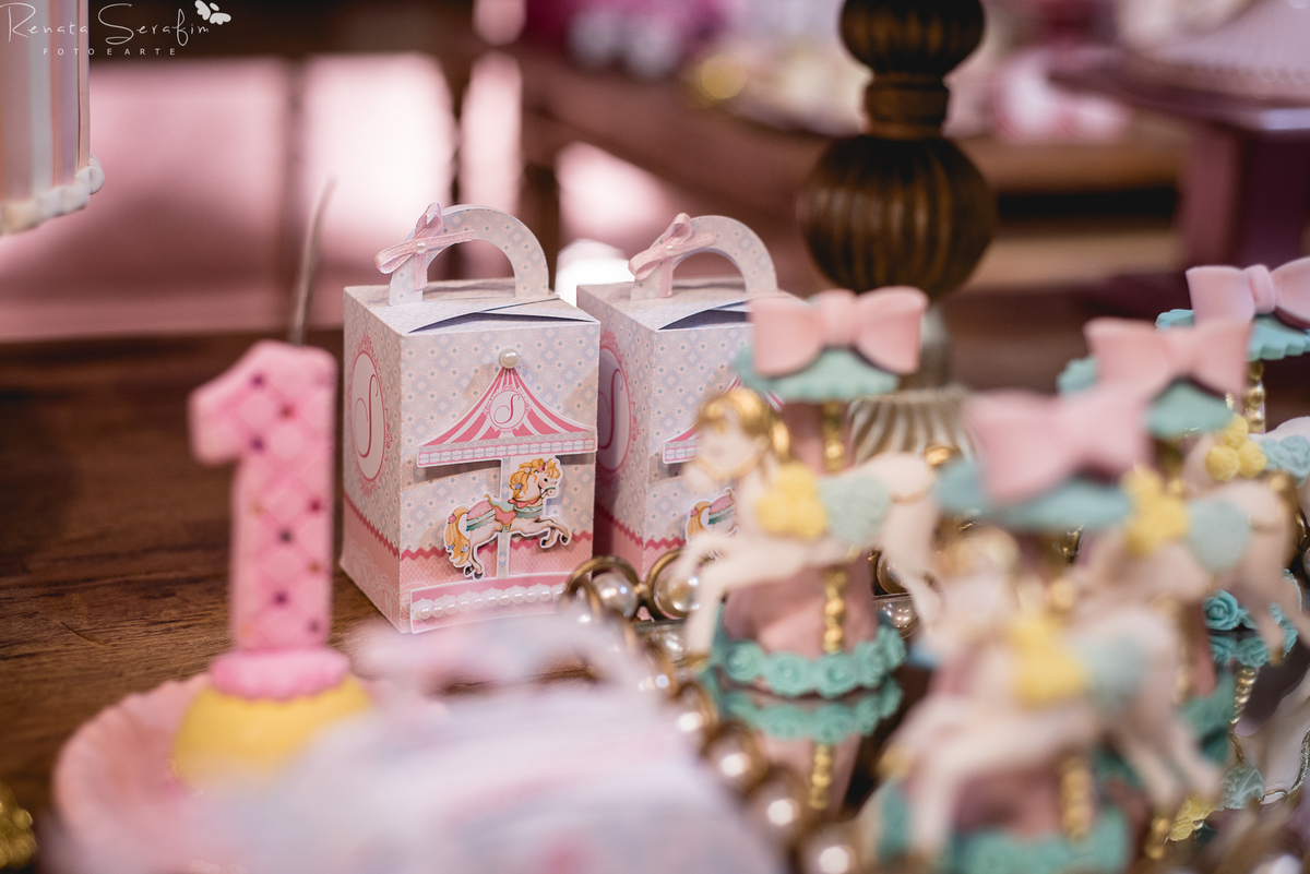 festa bauru festa em pederneiras, festa infantil bauru, fotografo em jau, fotografo em bauru, festa leandro castan, leandro castan jogador, salao de festa jau, zoe casa de festas, fotografia festas infantil, festa em jau, carrosel, festa carrossel, jau