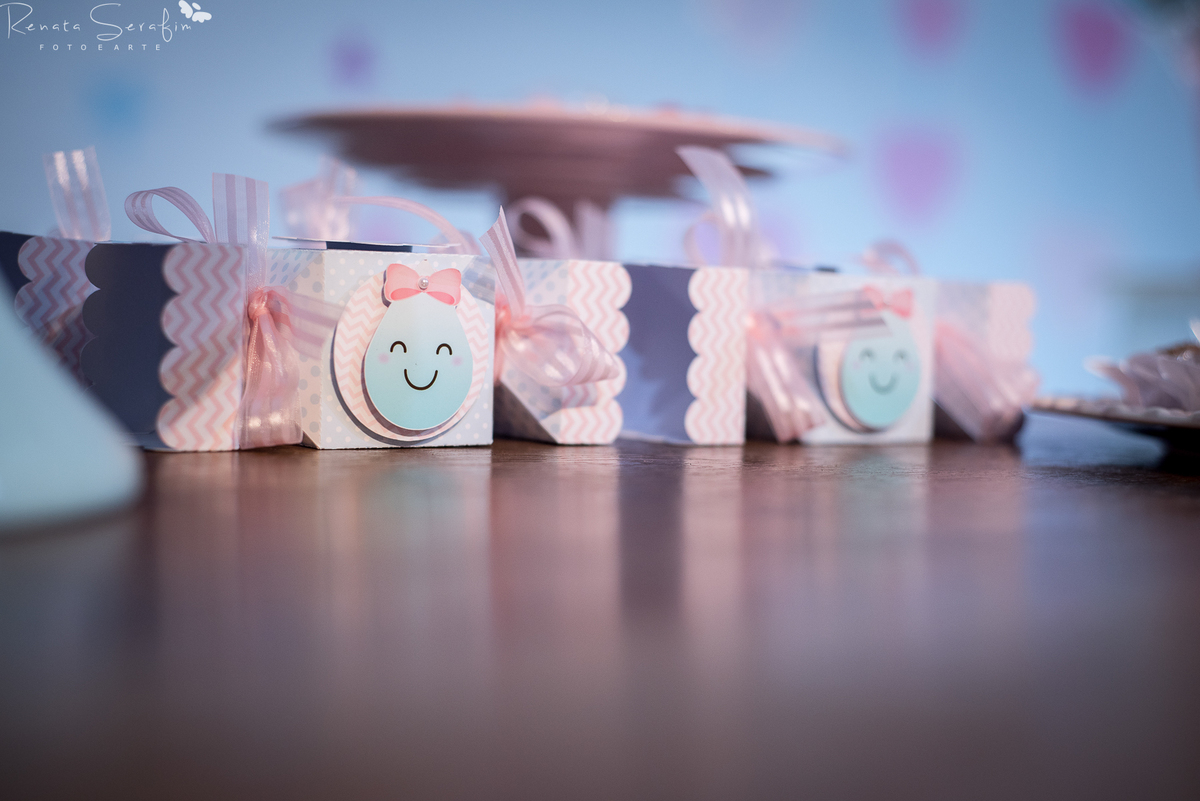 algazzara, circo de menina, circo rosa, festa de menina, festa infantil, festas em jau, fotografo em jau, fotografo infantil, fotos de festa, renata serafim, salão de festas em jau