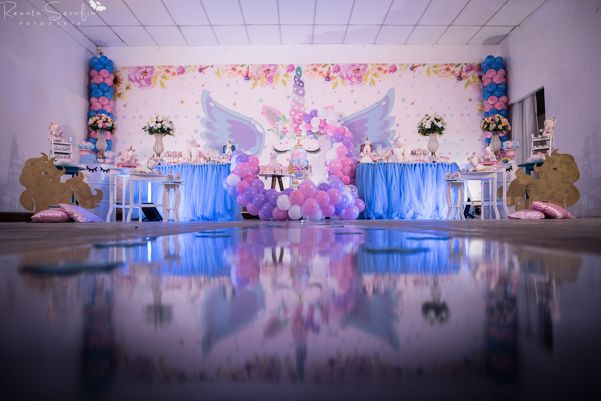 festa bauru festa em pederneiras, festa infantil bauru, fotografo em jau, fotografo em bauru, festa leandro castan, leandro castan jogador, salao de festa jau, zoe casa de festas, fotografia festas infantil, festa em jau, circo rosa, festa salao zoe, jau