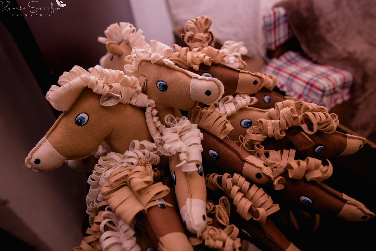 festa bauru festa em pederneiras, festa infantil bauru, fotografo em jau, fotografo em bauru, festa leandro castan, leandro castan jogador, salao de festa jau, zoe casa de festas, fotografia festas infantil, festa em jau, jogador de futebol, festa dos fam