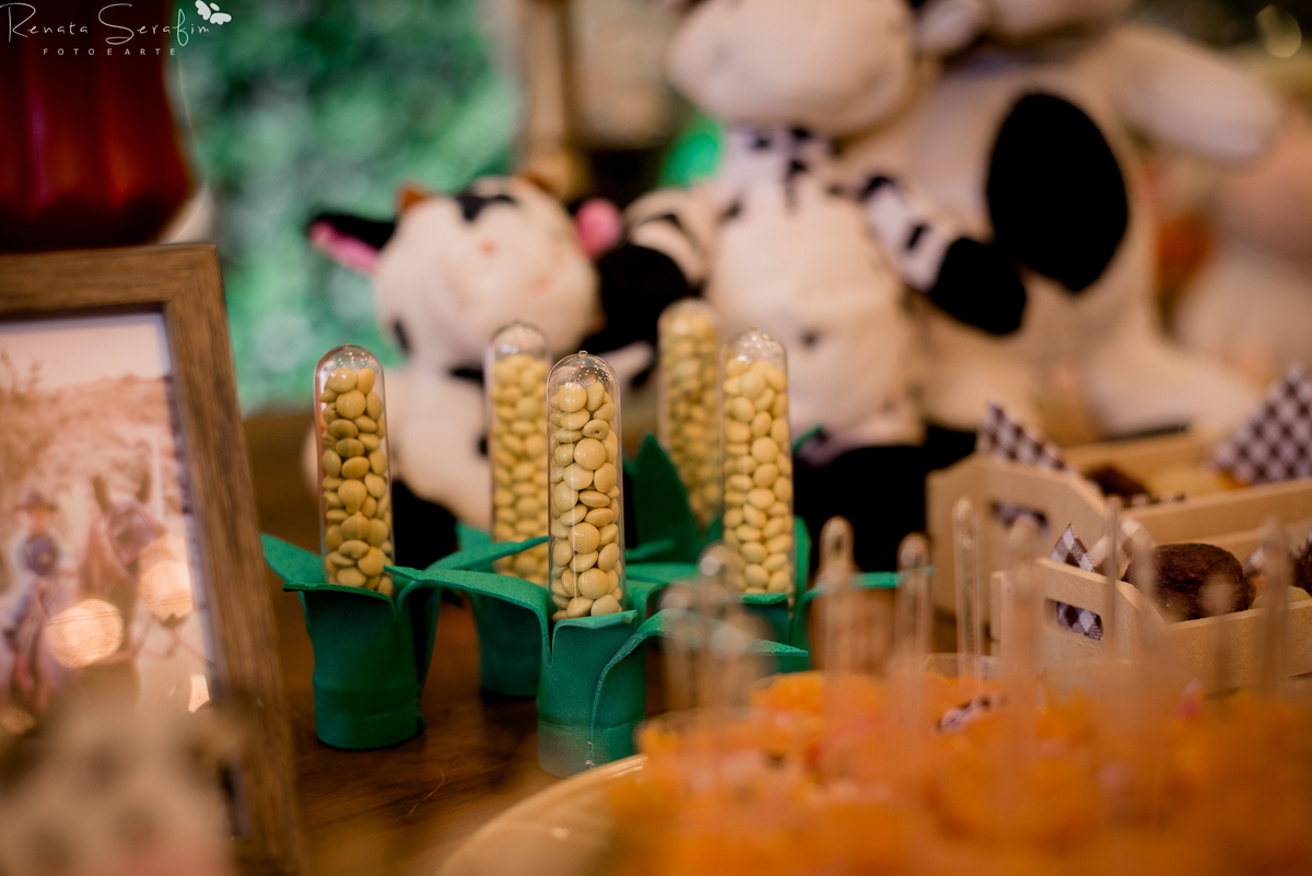 festa bauru festa em pederneiras, festa infantil bauru, fotografo em jau, fotografo em bauru, festa leandro castan, leandro castan jogador, salao de festa jau, zoe casa de festas, fotografia festas infantil, festa em jau, jogador de futebol, festa dos fam