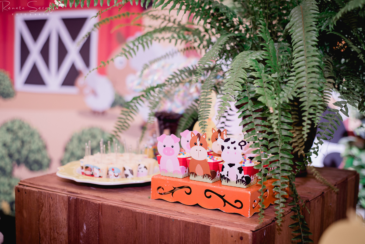 festa bauru festa em pederneiras, festa infantil bauru, fotografo em jau, fotografo em bauru, festa leandro castan, leandro castan jogador, salao de festa jau, zoe casa de festas, fotografia festas infantil, festa em jau, jogador de futebol, festa dos fam