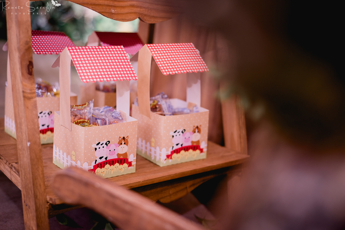 festa bauru festa em pederneiras, festa infantil bauru, fotografo em jau, fotografo em bauru, festa leandro castan, leandro castan jogador, salao de festa jau, zoe casa de festas, fotografia festas infantil, festa em jau, jogador de futebol, festa dos fam