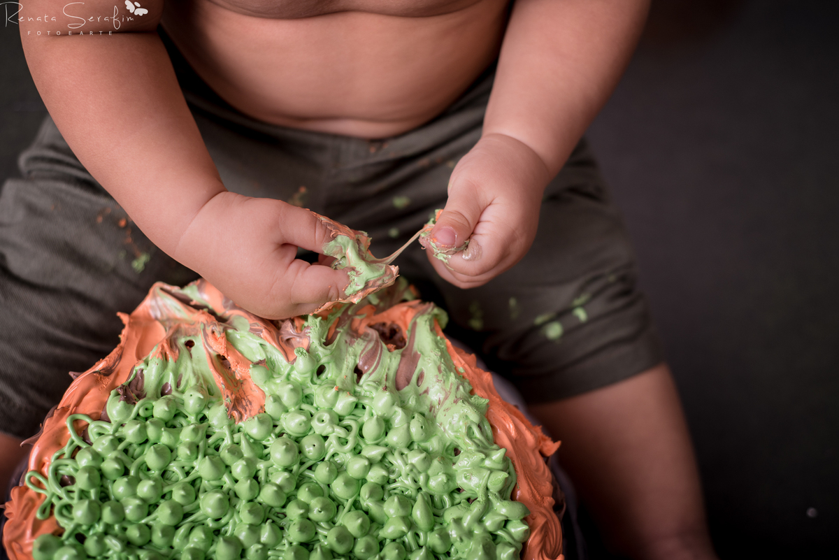 cake smash,mae de menino, safari, festa safari, salao de festas em jau, fotografo em jau, festas em jau, buffet em jau, sessão de fotos de um aninho, fotografia infantil, renata serafim, festa em bauru, salão de festas em bauru