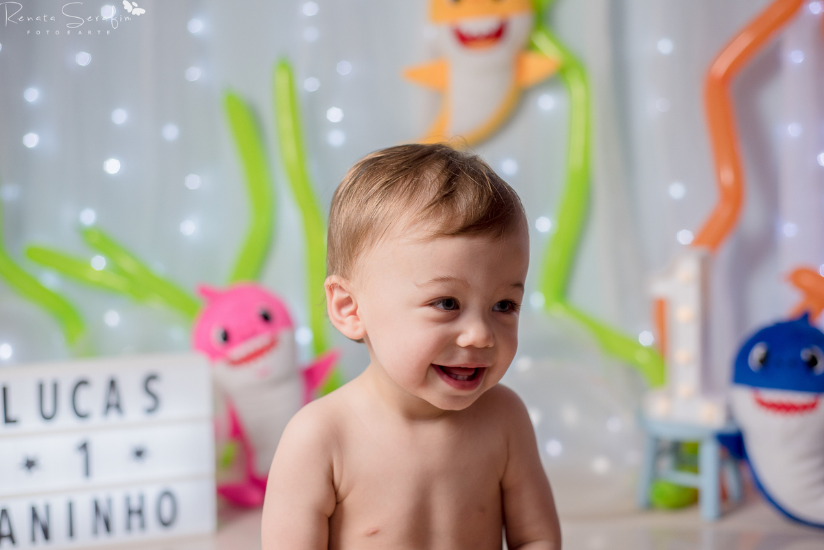 cake smash,mae de menino, safari, festa safari, salao de festas em jau, fotografo em jau, festas em jau, buffet em jau, sessão de fotos de um aninho, fotografia infantil, renata serafim, festa em bauru, salão de festas em bauru, baby shark, 
