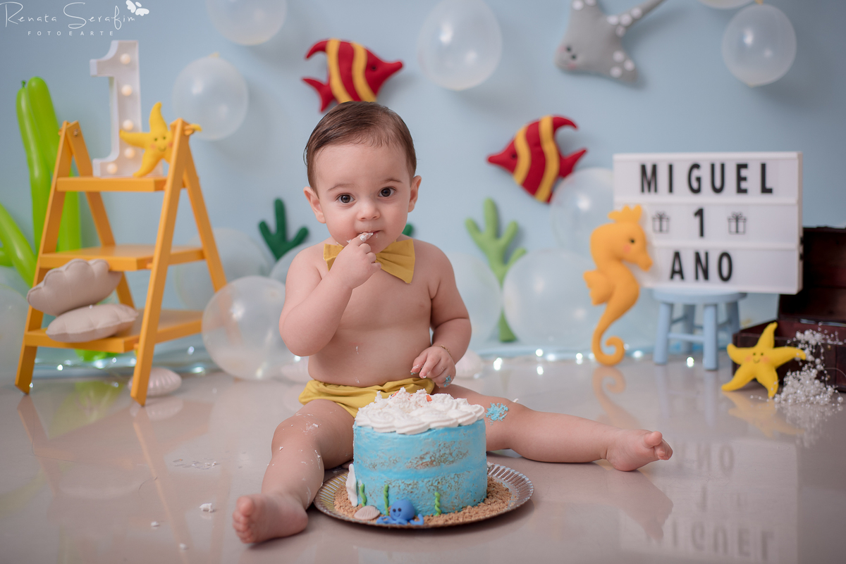 cake smash,mae de menino, safari, festa safari, salao de festas em jau, fotografo em jau, festas em jau, buffet em jau, sessão de fotos de um aninho, fotografia infantil, renata serafim, festa em bauru, salão de festas em bauru, babu shark, 