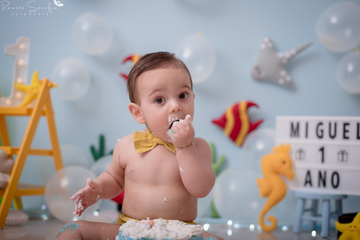 cake smash,mae de menino, safari, festa safari, salao de festas em jau, fotografo em jau, festas em jau, buffet em jau, sessão de fotos de um aninho, fotografia infantil, renata serafim, festa em bauru, salão de festas em bauru, babu shark, 