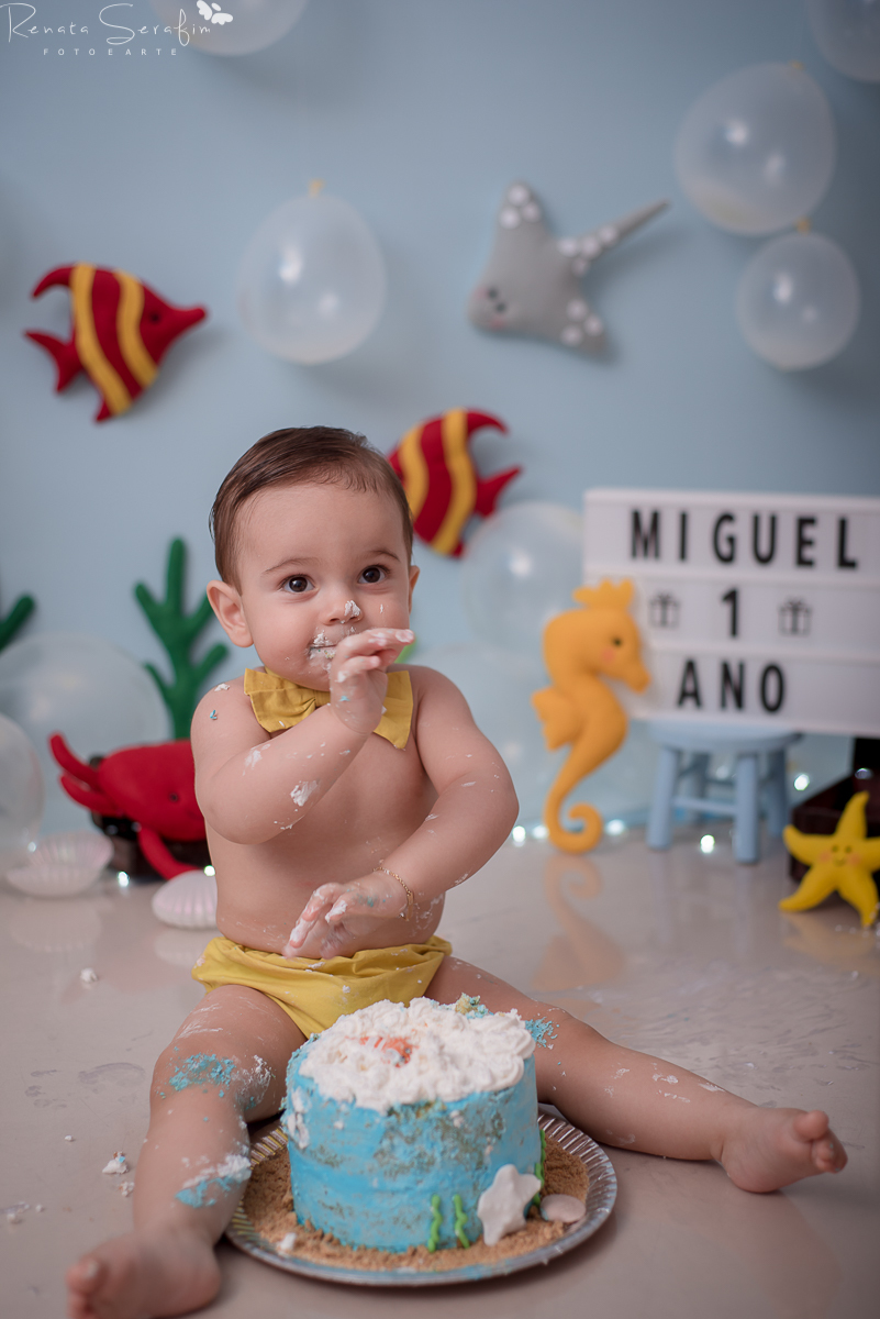 cake smash,mae de menino, safari, festa safari, salao de festas em jau, fotografo em jau, festas em jau, buffet em jau, sessão de fotos de um aninho, fotografia infantil, renata serafim, festa em bauru, salão de festas em bauru, babu shark, 