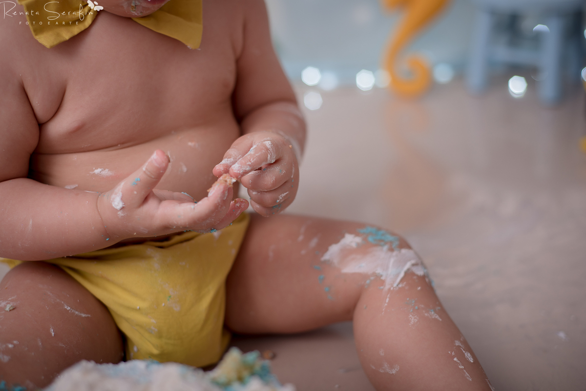 cake smash,mae de menino, safari, festa safari, salao de festas em jau, fotografo em jau, festas em jau, buffet em jau, sessão de fotos de um aninho, fotografia infantil, renata serafim, festa em bauru, salão de festas em bauru, babu shark, 
