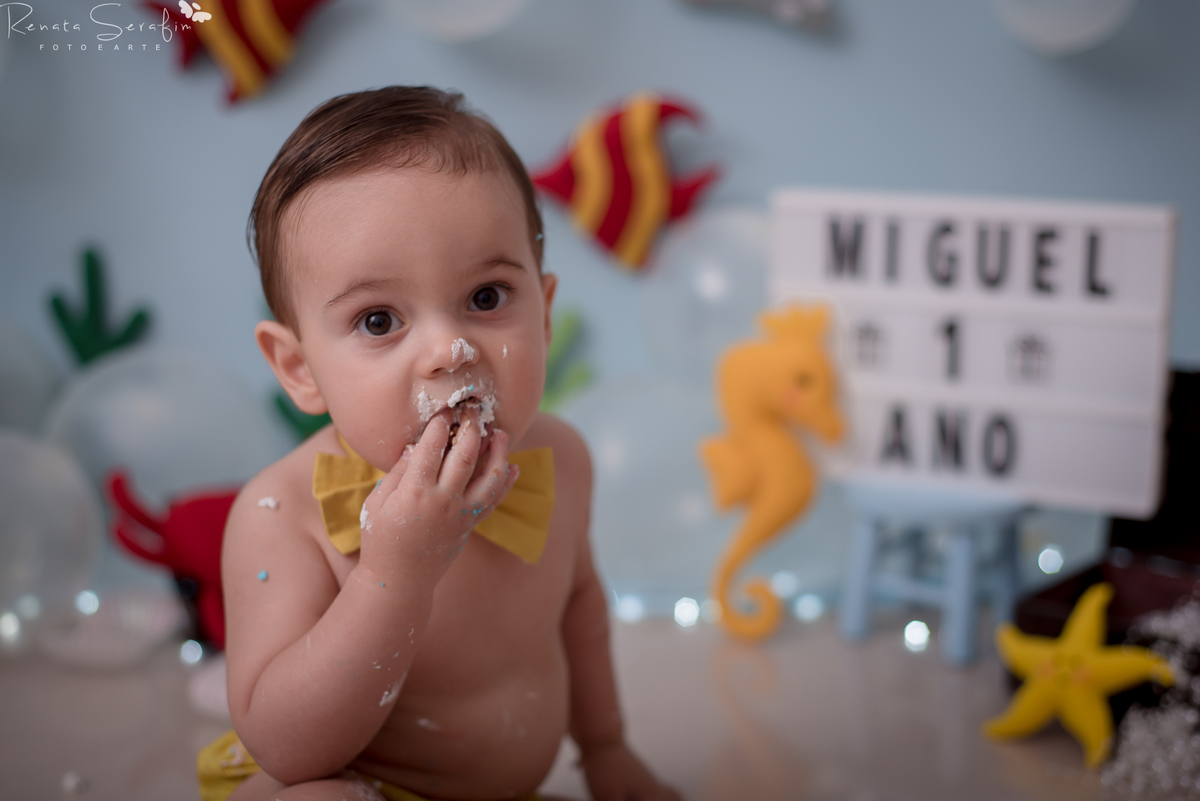 cake smash,mae de menino, safari, festa safari, salao de festas em jau, fotografo em jau, festas em jau, buffet em jau, sessão de fotos de um aninho, fotografia infantil, renata serafim, festa em bauru, salão de festas em bauru, babu shark, 