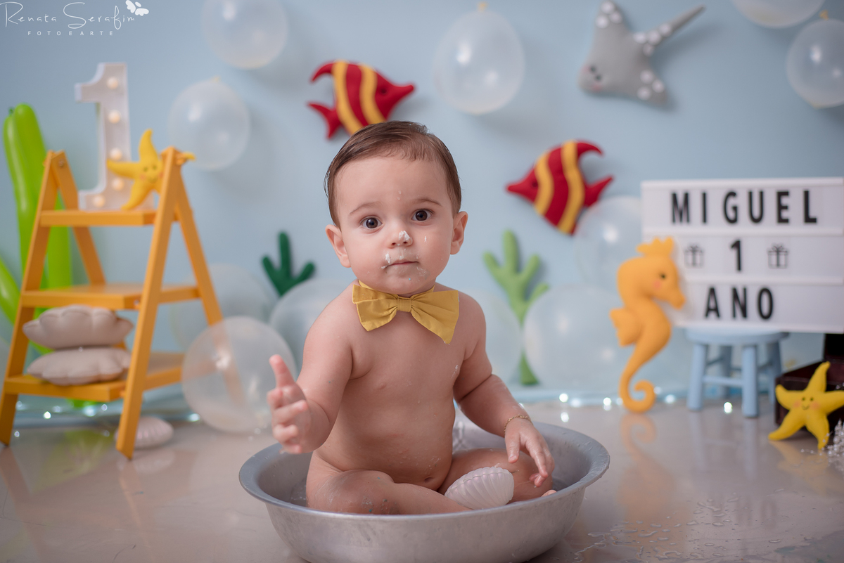 cake smash,mae de menino, safari, festa safari, salao de festas em jau, fotografo em jau, festas em jau, buffet em jau, sessão de fotos de um aninho, fotografia infantil, renata serafim, festa em bauru, salão de festas em bauru, babu shark, 