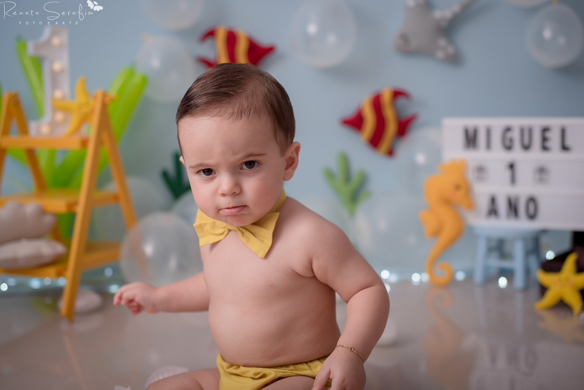 cake smash,mae de menino, safari, festa safari, salao de festas em jau, fotografo em jau, festas em jau, buffet em jau, sessão de fotos de um aninho, fotografia infantil, renata serafim, festa em bauru, salão de festas em bauru, babu shark, 