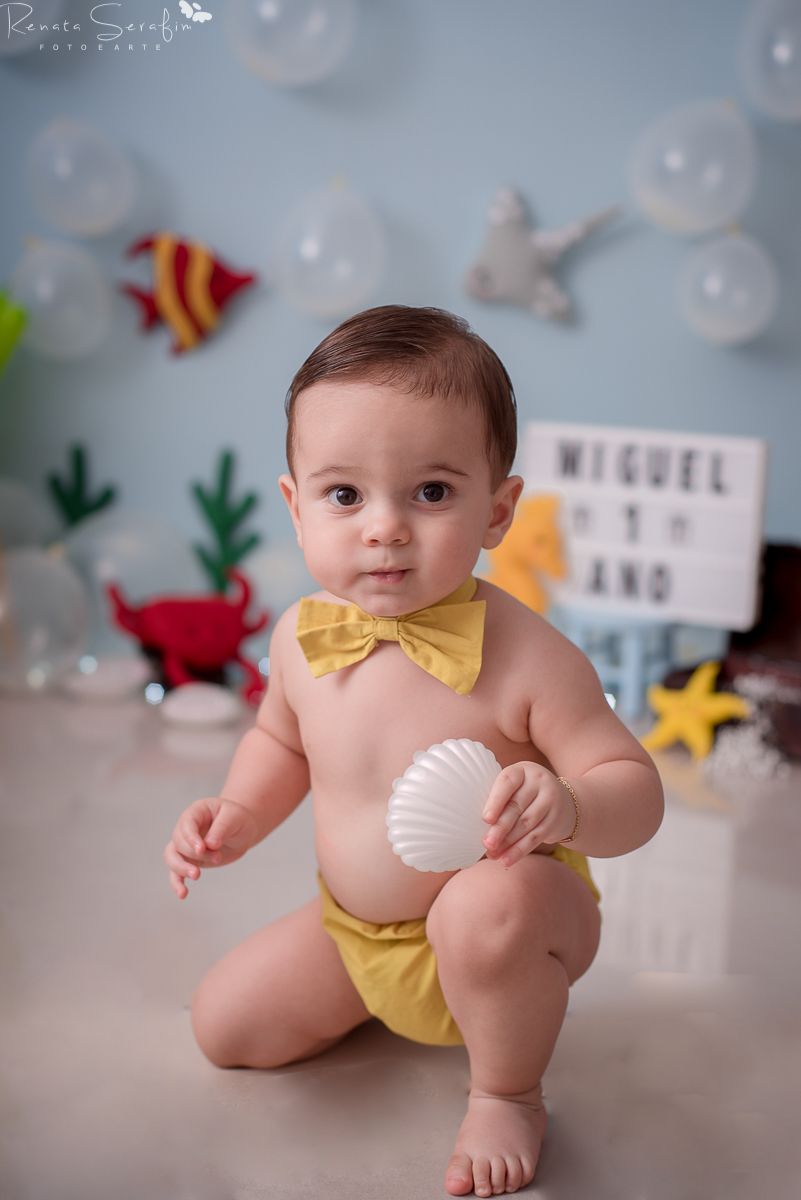 cake smash,mae de menino, safari, festa safari, salao de festas em jau, fotografo em jau, festas em jau, buffet em jau, sessão de fotos de um aninho, fotografia infantil, renata serafim, festa em bauru, salão de festas em bauru, babu shark, 