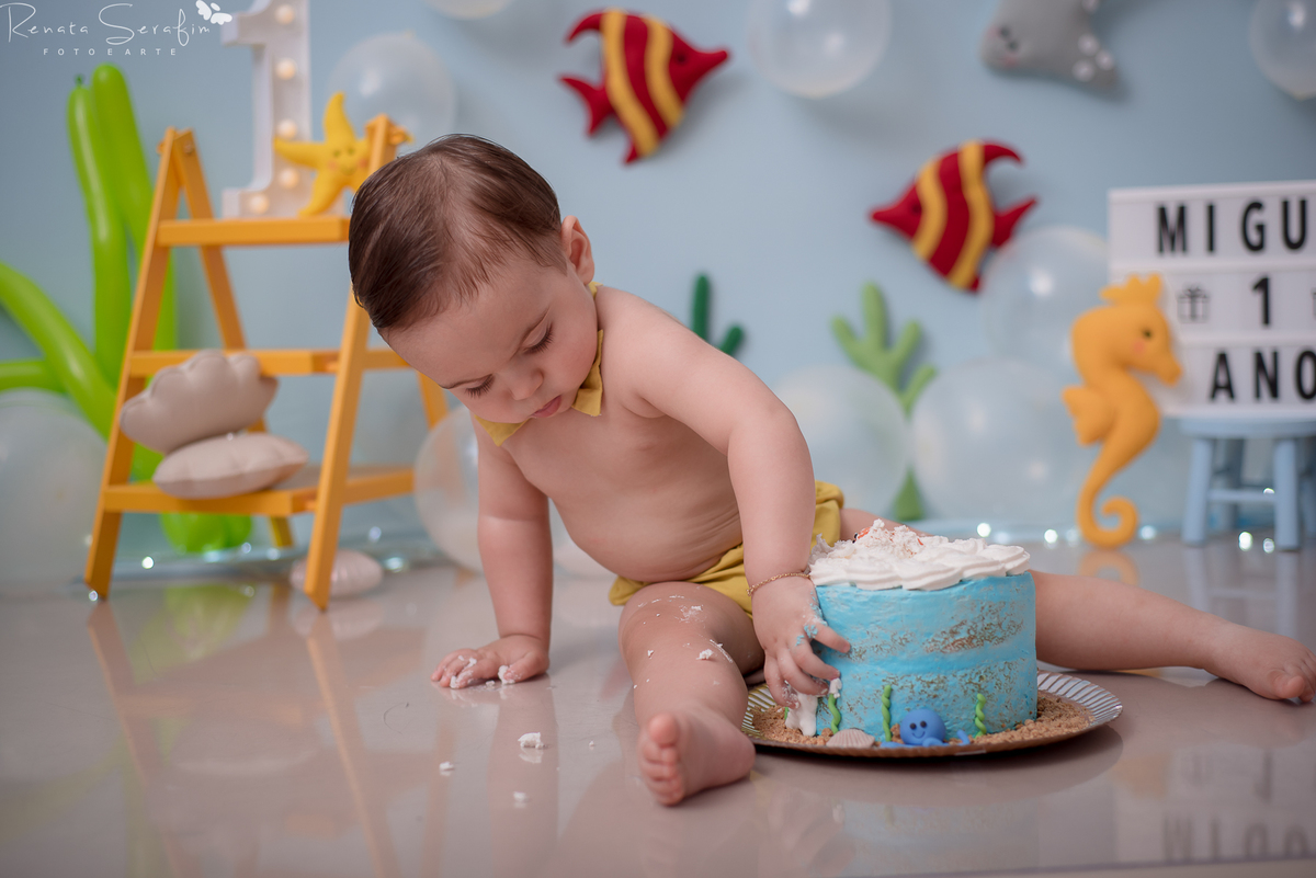 cake smash,mae de menino, safari, festa safari, salao de festas em jau, fotografo em jau, festas em jau, buffet em jau, sessão de fotos de um aninho, fotografia infantil, renata serafim, festa em bauru, salão de festas em bauru, babu shark, 