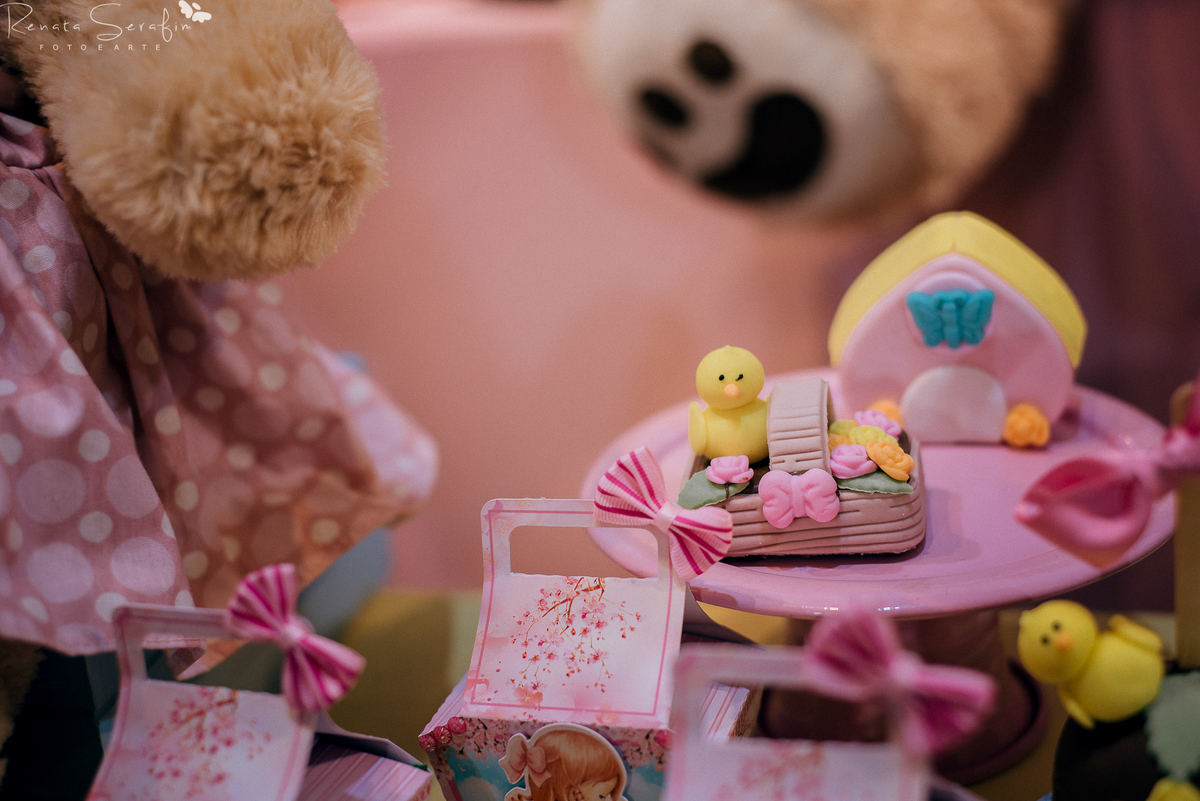 festa bauru festa em pederneiras, festa infantil bauru, fotografo em jau, fotografo em bauru, festa leandro castan, leandro castan jogador, salao de festa jau, zoe casa de festas, fotografia festas infantil, festa em jau, carrosel, festa carrossel, jau