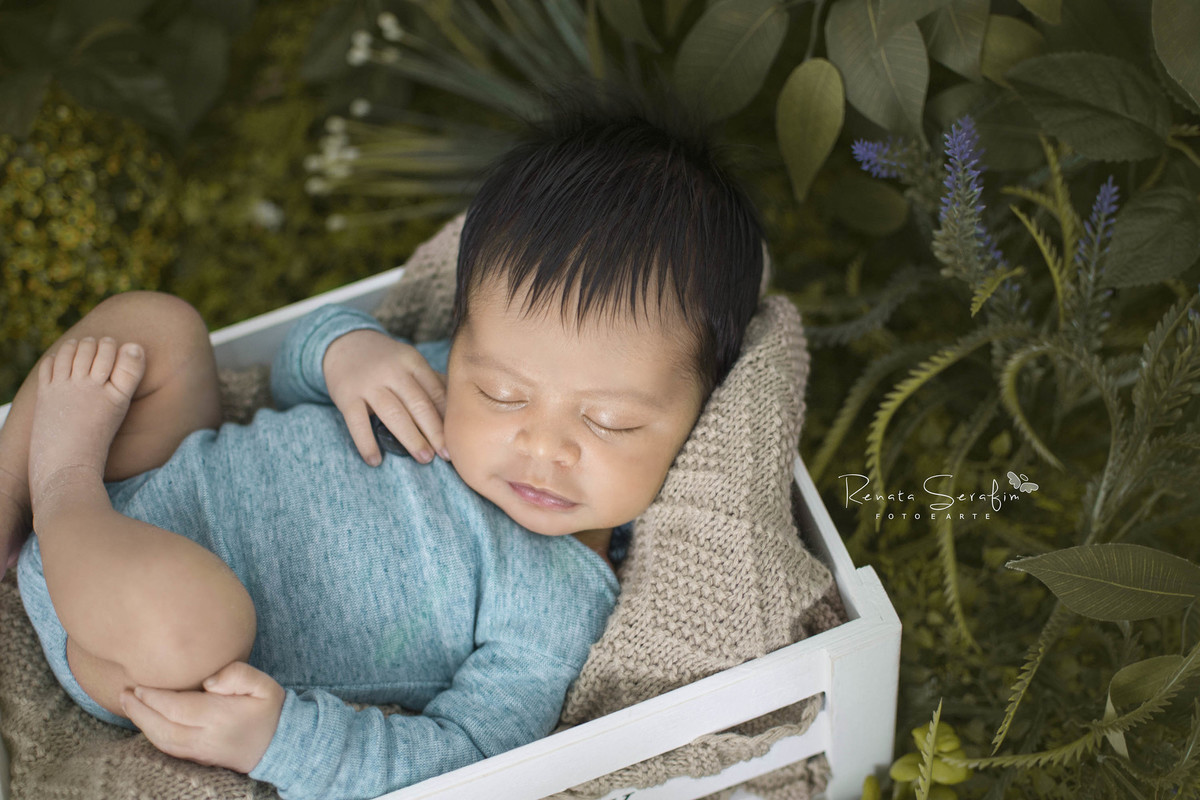 gabriel estava em um cestinho no jardim em seu ensaio