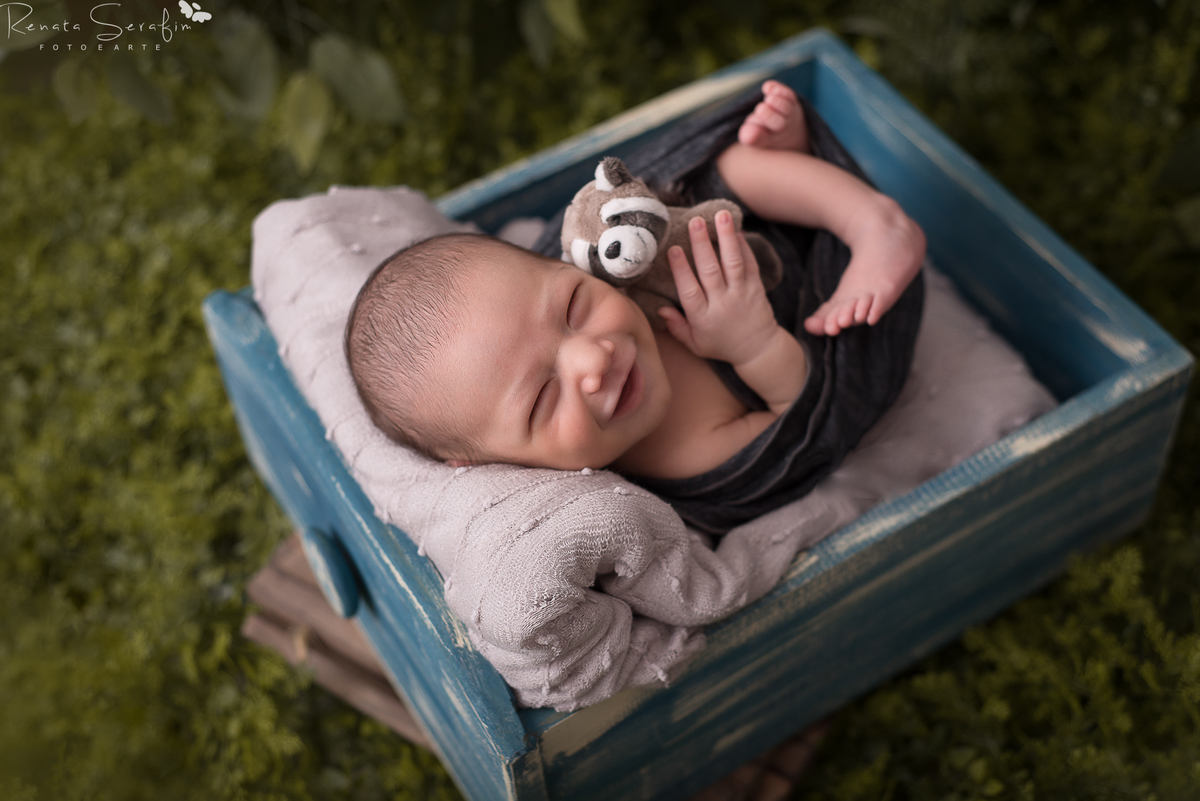 newborn, fotos de recem nascido, book de recem nascido, fotografia de bebe, sessão de recem nascido em jau, fotografa de bebe, renata serafim, acompanhamento de bebes, recem nscido em jau, newborn jau, fotografo em bauru, recem nascido em bauru, advocacia