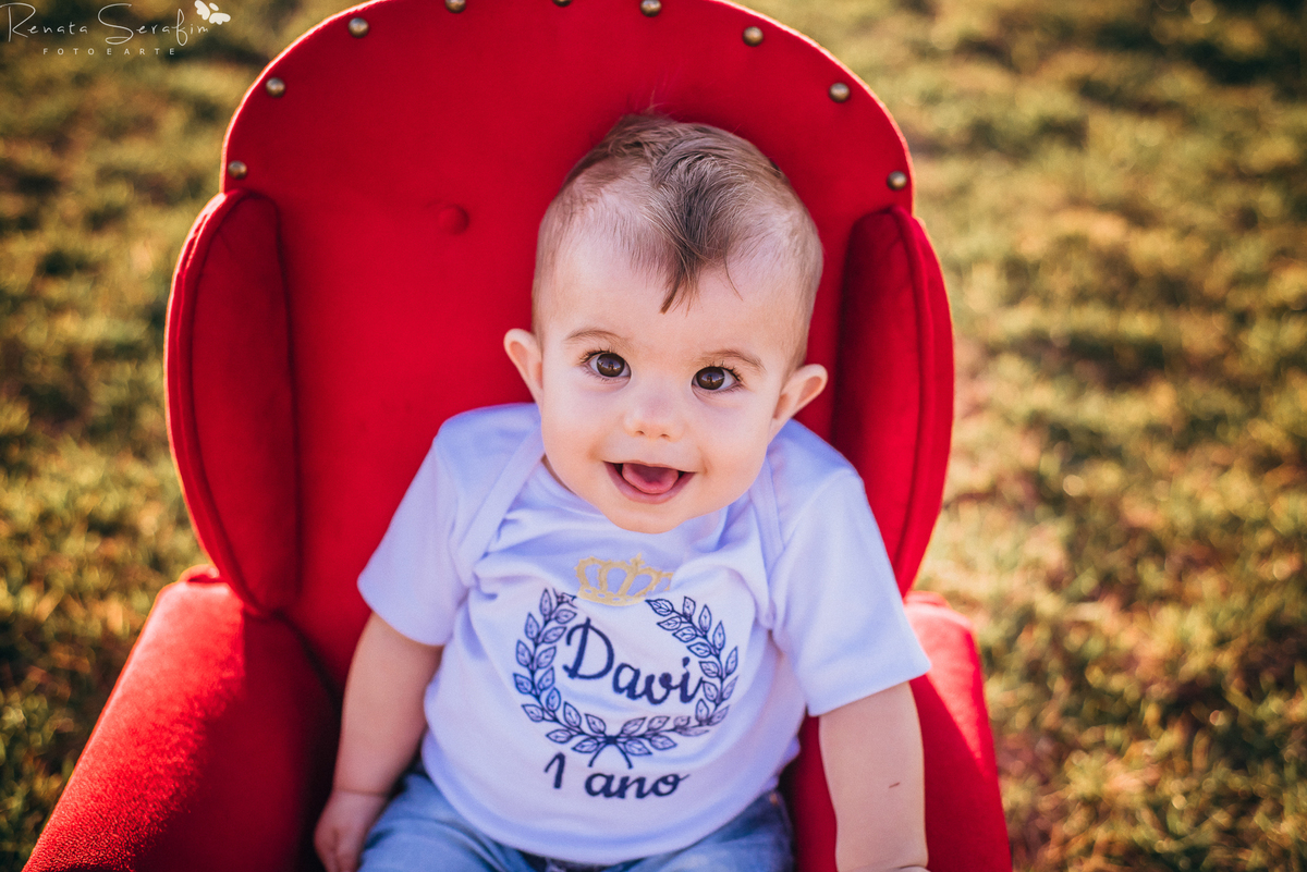 bosque, buffet em jau, cake smash, festa bosque, festa em bauru, festas em jau, fotografia infantil, fotografo em jau, mae de menin0, renata serafim, salão de festas em bauru, salao de festas em jau, sessão de fotos de um aninho, tema principe