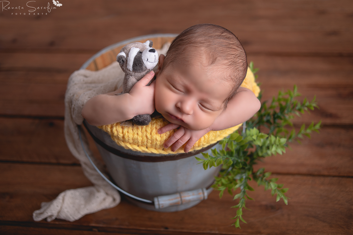 newborn, fotos de recem nascido, book de recem nascido, fotografia de bebe, sessão de recem nascido em jau, fotografa de bebe, renata serafim, acompanhamento de bebes, recem nascido em jau, newborn jau, fotografo em bauru, recem nascido em bauru, 