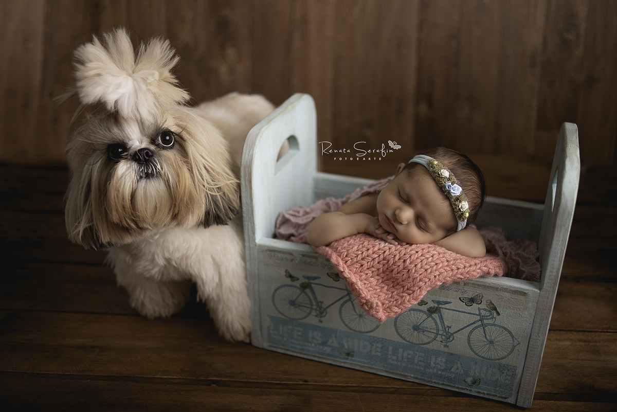 fotografia newborn*, fotos de recem nascido*, fotos newborn*, newborn bauru*, newborn de menina*, newborn de menino*, newborn*, recem nascido*, Renata Serafim*, sessão de bebe*, sessão newborn*