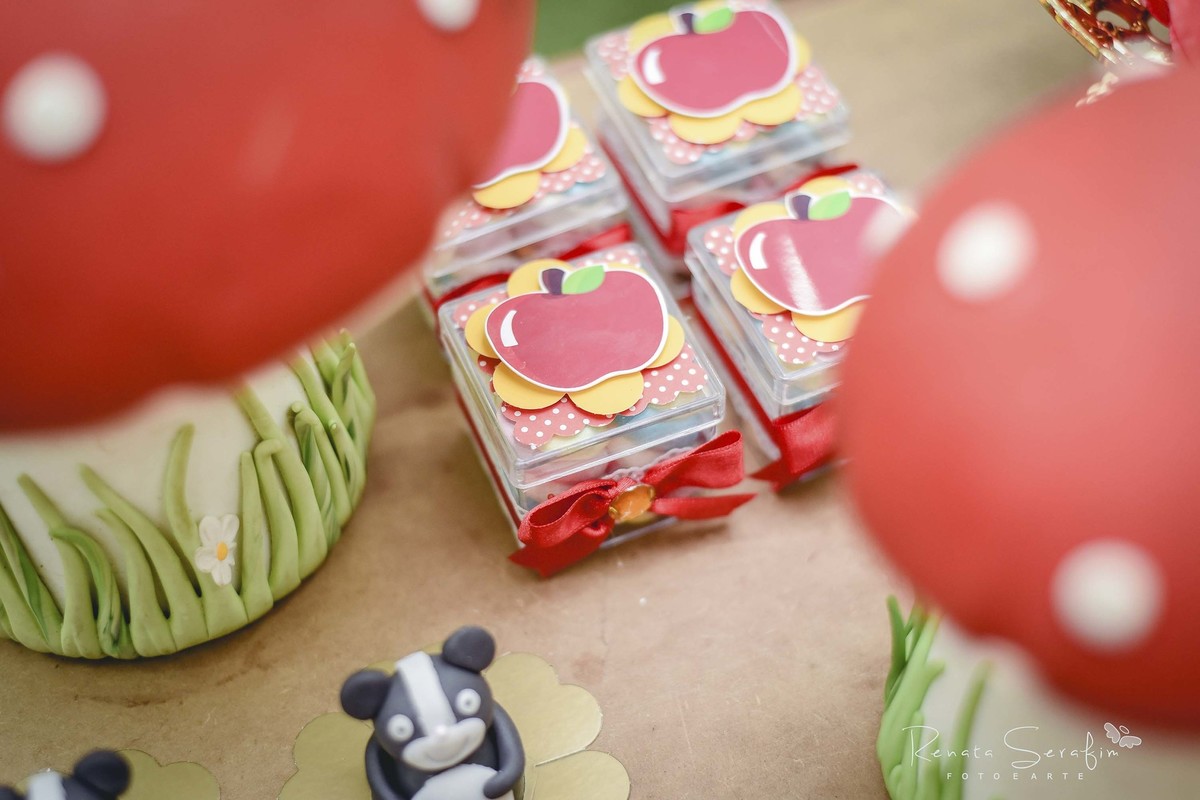 Decoração festa infantil branca de neve em bauru