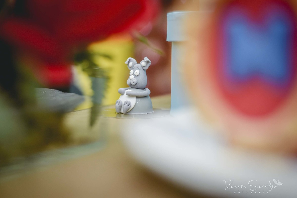 Decoração festa infantil branca de neve em bauru