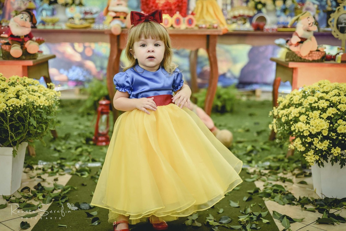 Festa infantil branca de neve e os sete anões em jau, bauru e região