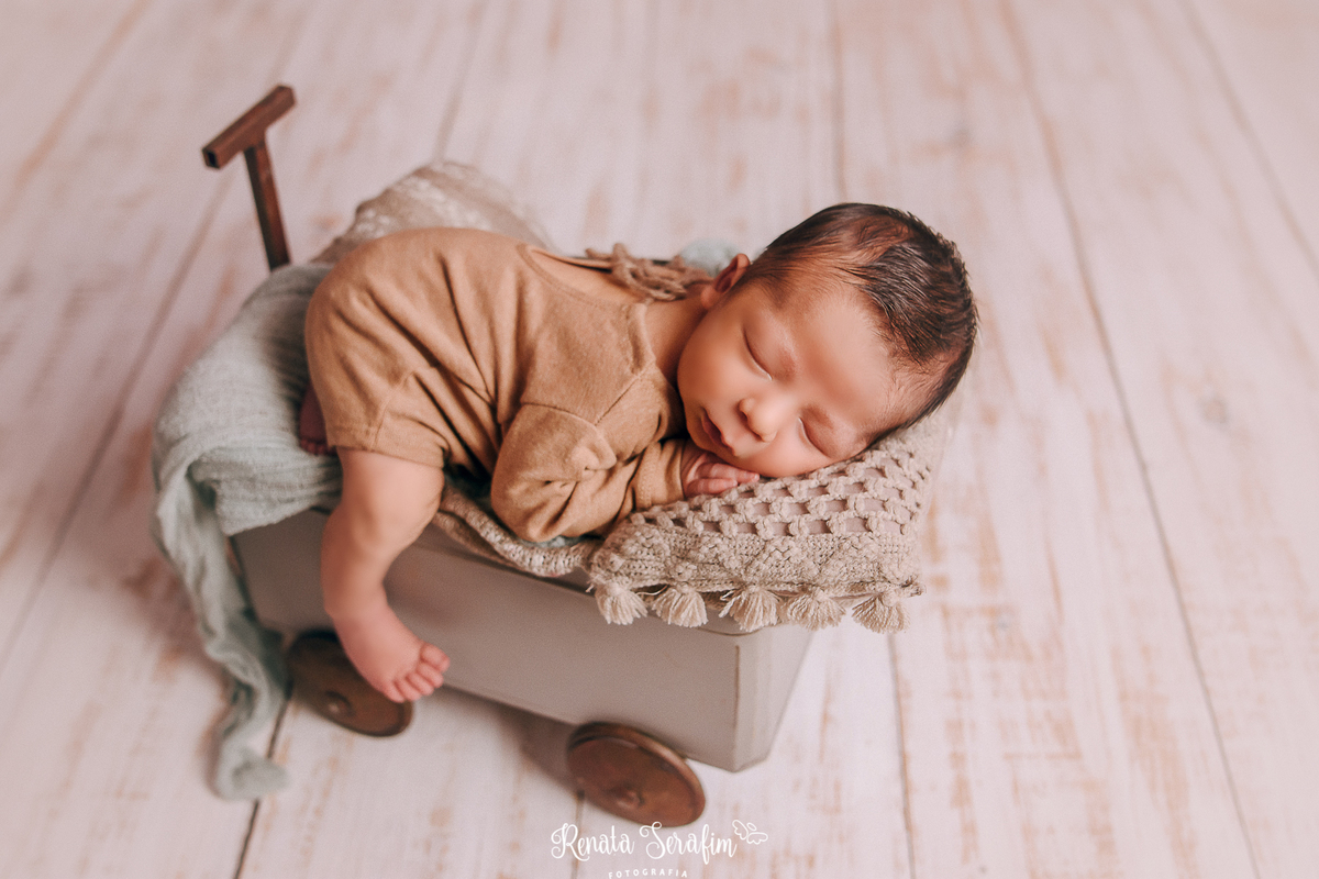 newborn, fotos de recem nascido, book de recem nascido, fotografia de bebe, sessão de recem nascido em jau, fotografa de bebe, renata serafim, acompanhamento de bebes, recem nascido em jau, newborn jau, fotografo em bauru, recem nascido em bauru, 