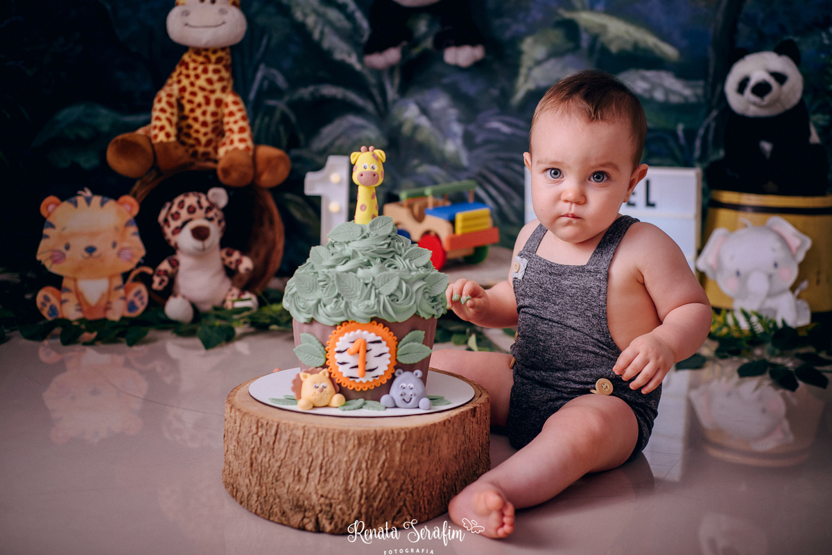 bosque, buffet em jau, cake smash, festa bosque, festa em bauru, festas em jau, fotografia infantil, fotografo em jau, mae de menin0, renata serafim, salão de festas em bauru, salao de festas em jau, sessão de fotos de um aninho, tema safari