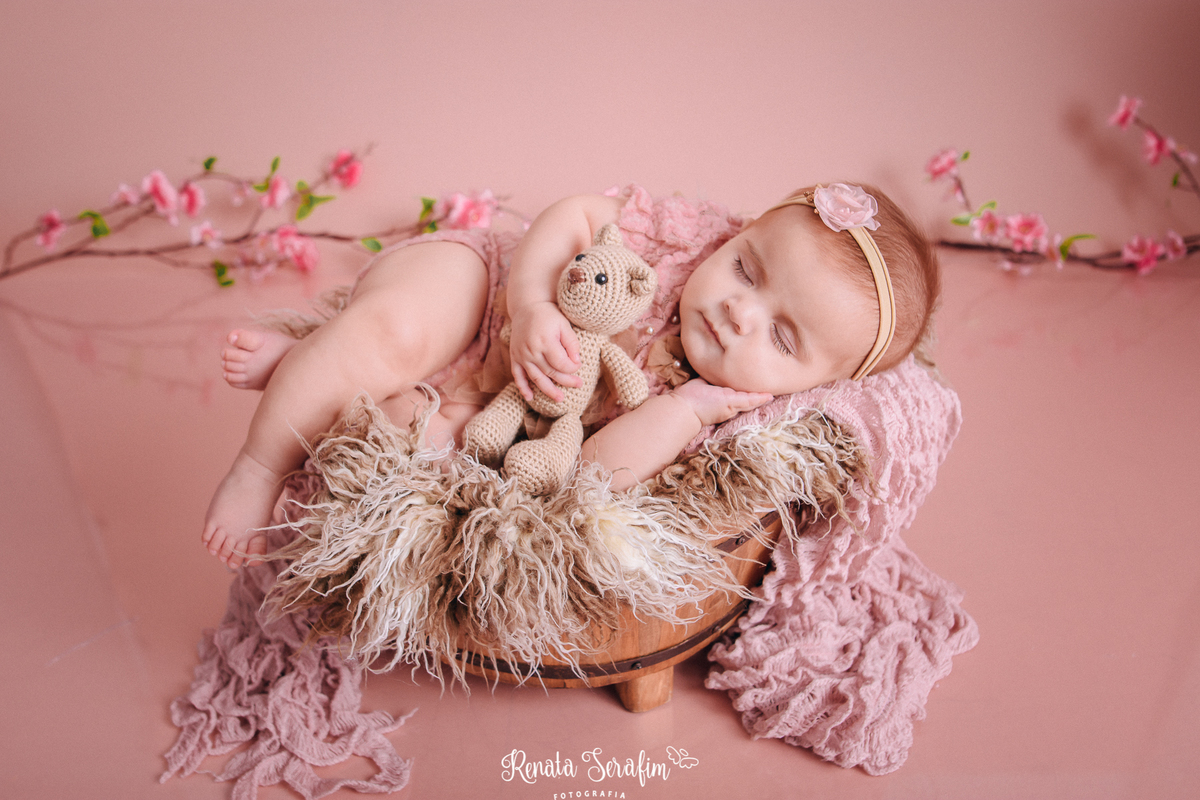 acompanhamento de bebe, acompanhamento jau e regiao, acompanhamento menina, acompanhamento menina bauru e regiao, renata serafim fotografia