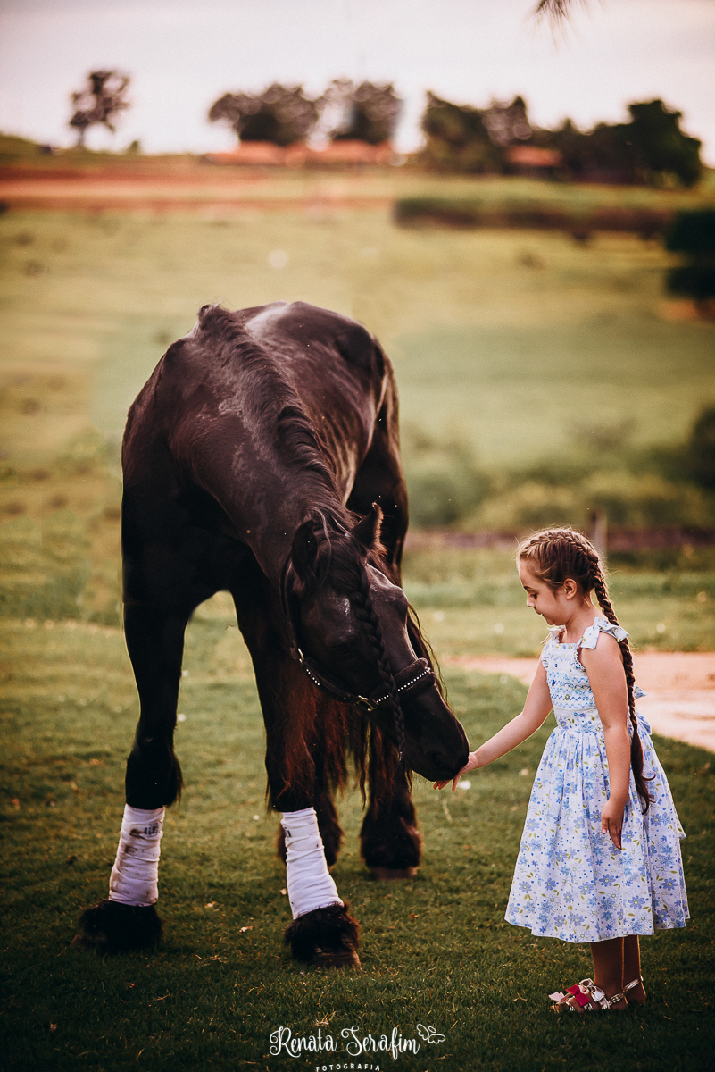 bauru e região, book gestante, dois corregos, estúdio fotografico, fotografo de gestante, fotografo em bariri, fotografo em jau, fotos de gravida, fotos externas, fotos gestante, gestação, jau e região, mae de menina, marina pousada do sol, pai de menina