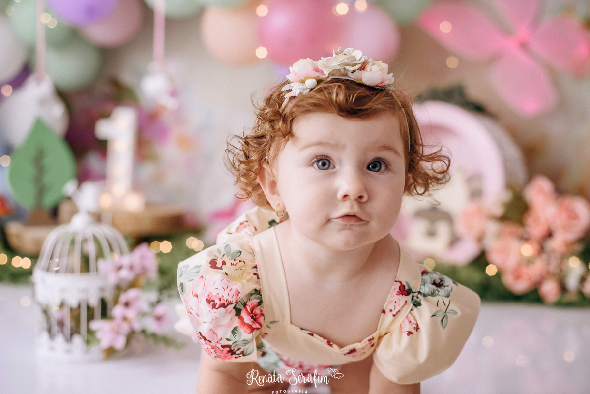 aniversario 1 aninho, bolos decorados, fotografia infantil, fotografo bauru e região, fotografo em jau, Jardim de lavandas, renata serafim, smash jardim, smash the cake, smash the cake menina, tema para um aninho