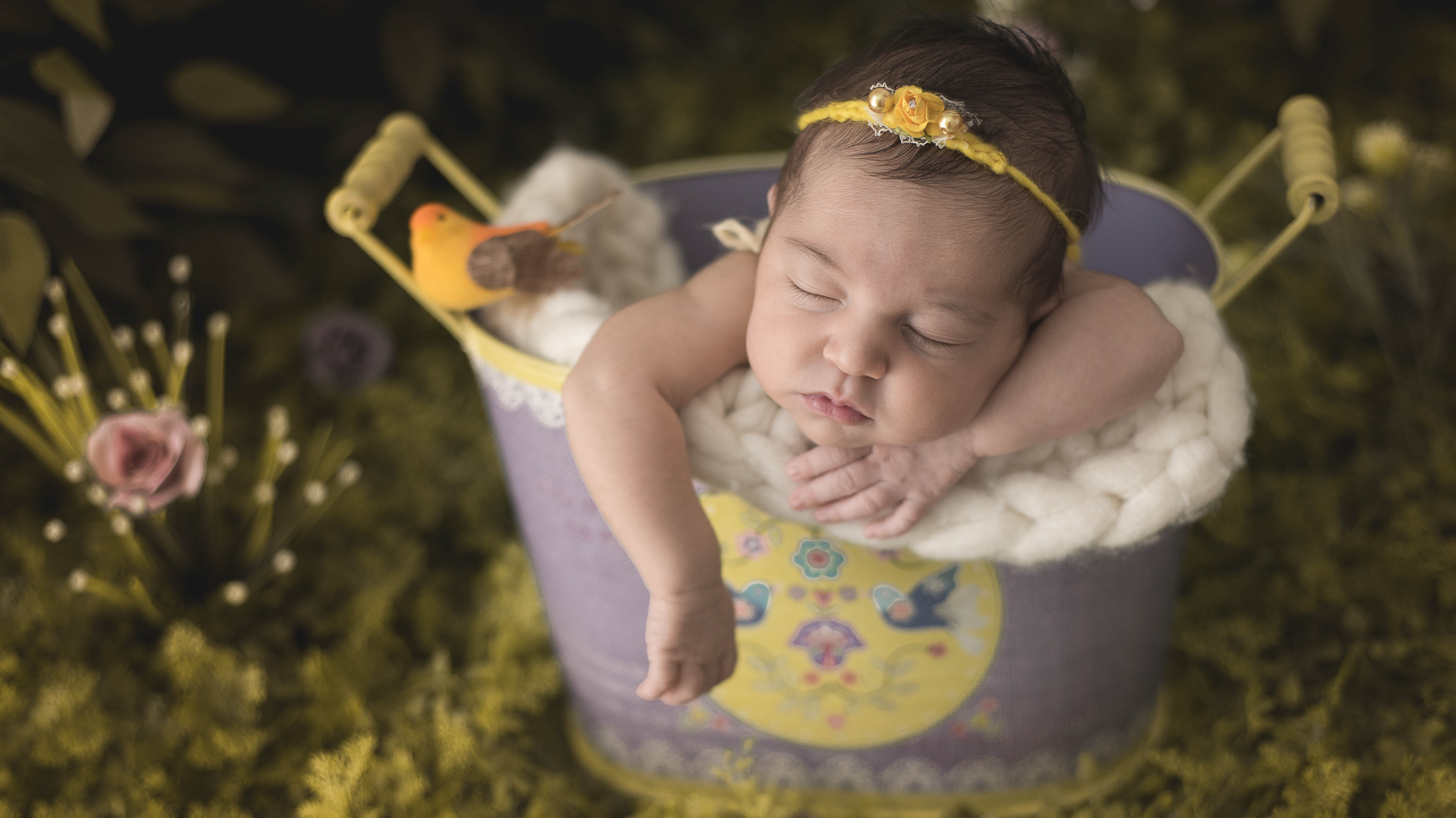 Sobre Fotografia de Newborn (Recem nascidos) e bebês, família e festas em Jaú, Bauru e região - Renata Serafim