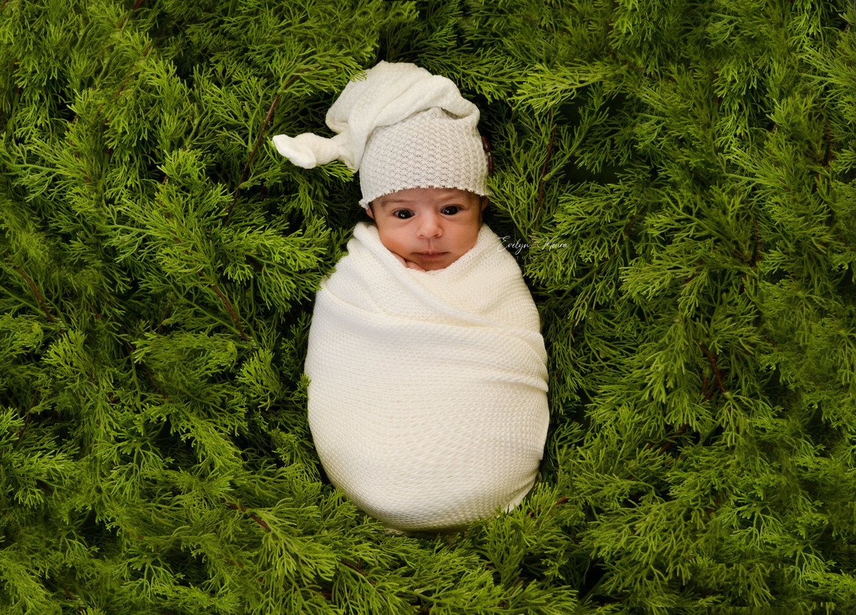 Newborn - Evelyn Moura Fotografia em Niterói, Rio de Janeiro - ensaio infantil - newborn de recém nascido