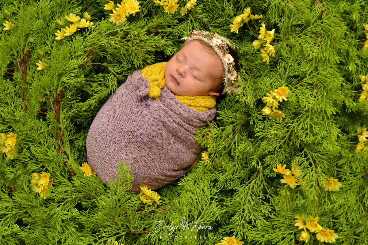 Newborn - Evelyn Moura Fotografia em Niterói, Rio de Janeiro - ensaio infantil - newborn de recém nascido