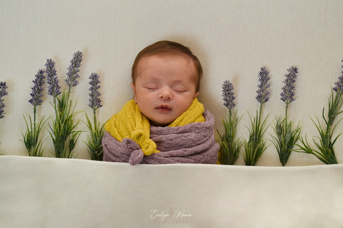 Newborn - Evelyn Moura Fotografia em Niterói, Rio de Janeiro - ensaio infantil - newborn de recém nascido