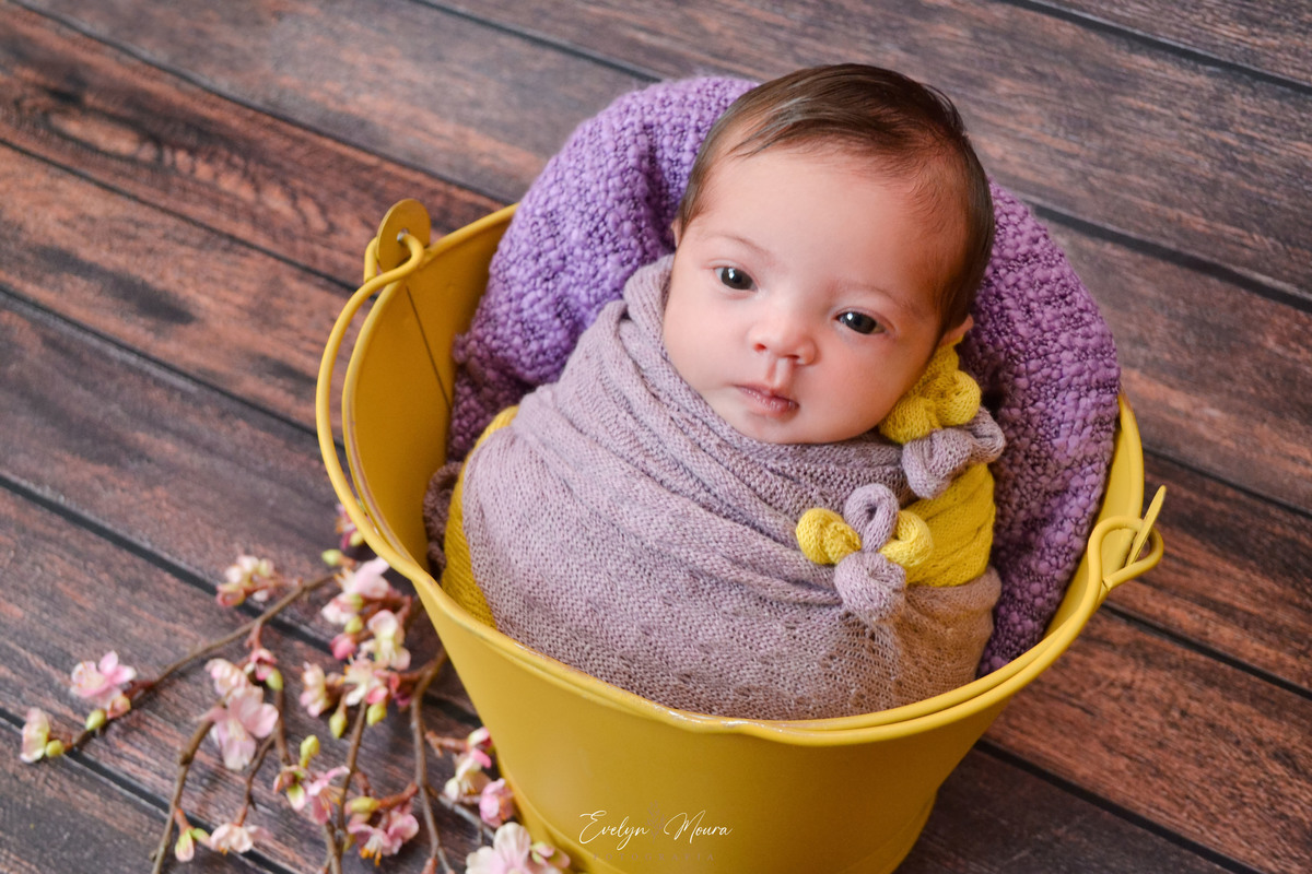 Newborn - Evelyn Moura Fotografia em Niterói, Rio de Janeiro - ensaio infantil - newborn de recém nascido