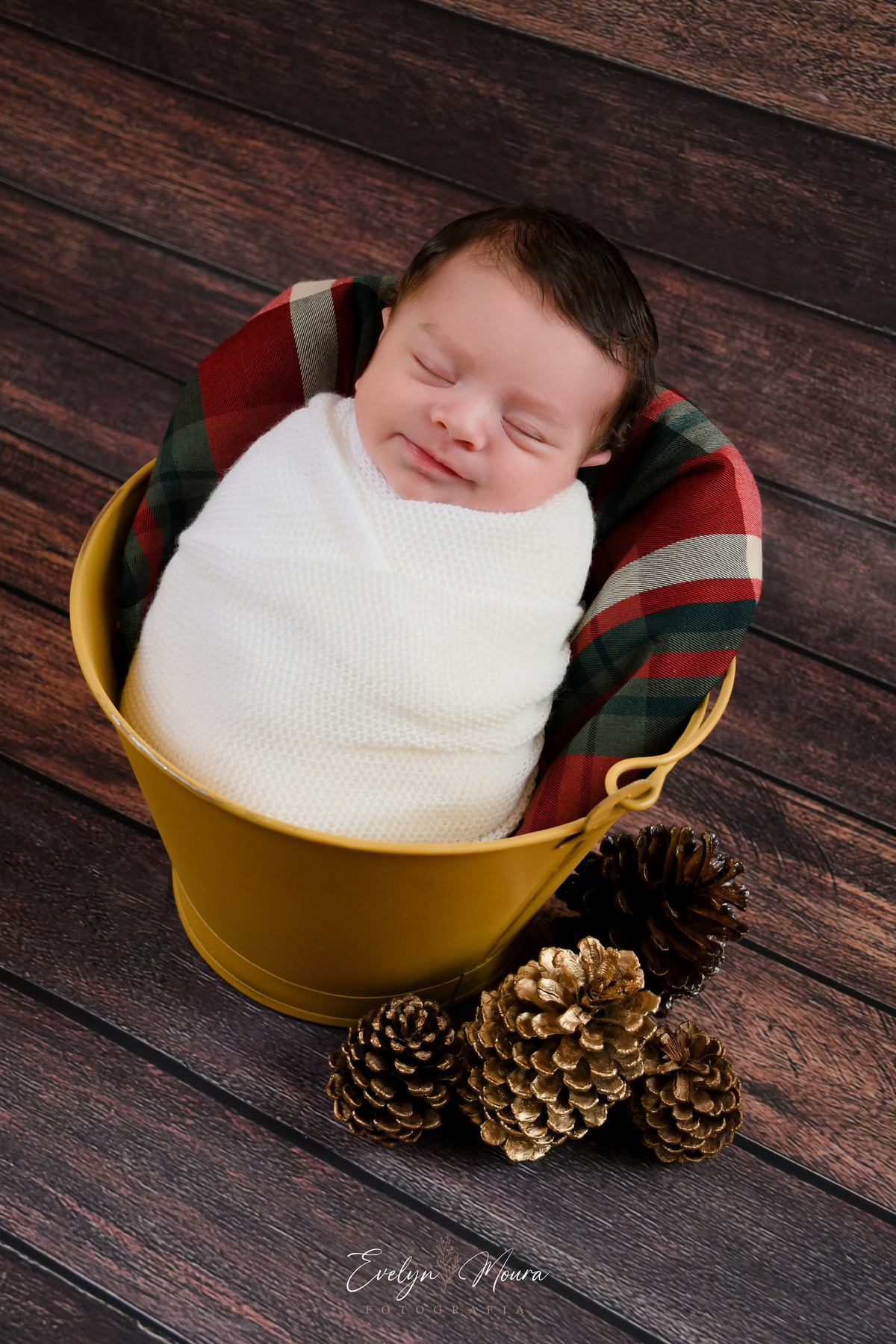 Newborn - Parto - Evelyn Moura Fotografia em Niterói, Rio de Janeiro - ensaio infantil - newborn de recém nascido