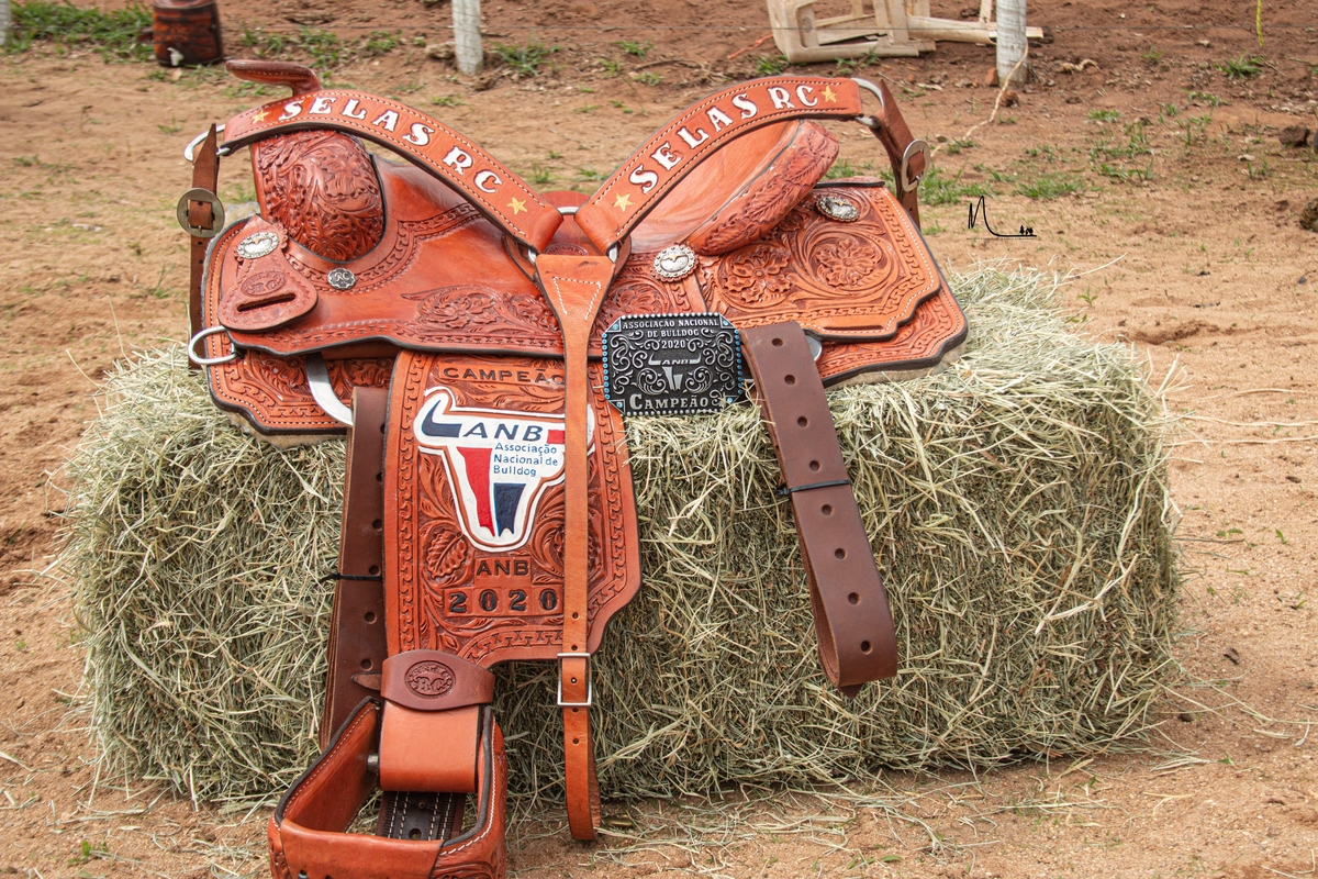 Sela Campeão ANB 2020