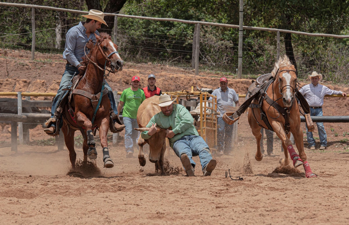 Melhor Cavalo do Ano ANB 2020
Garimpo